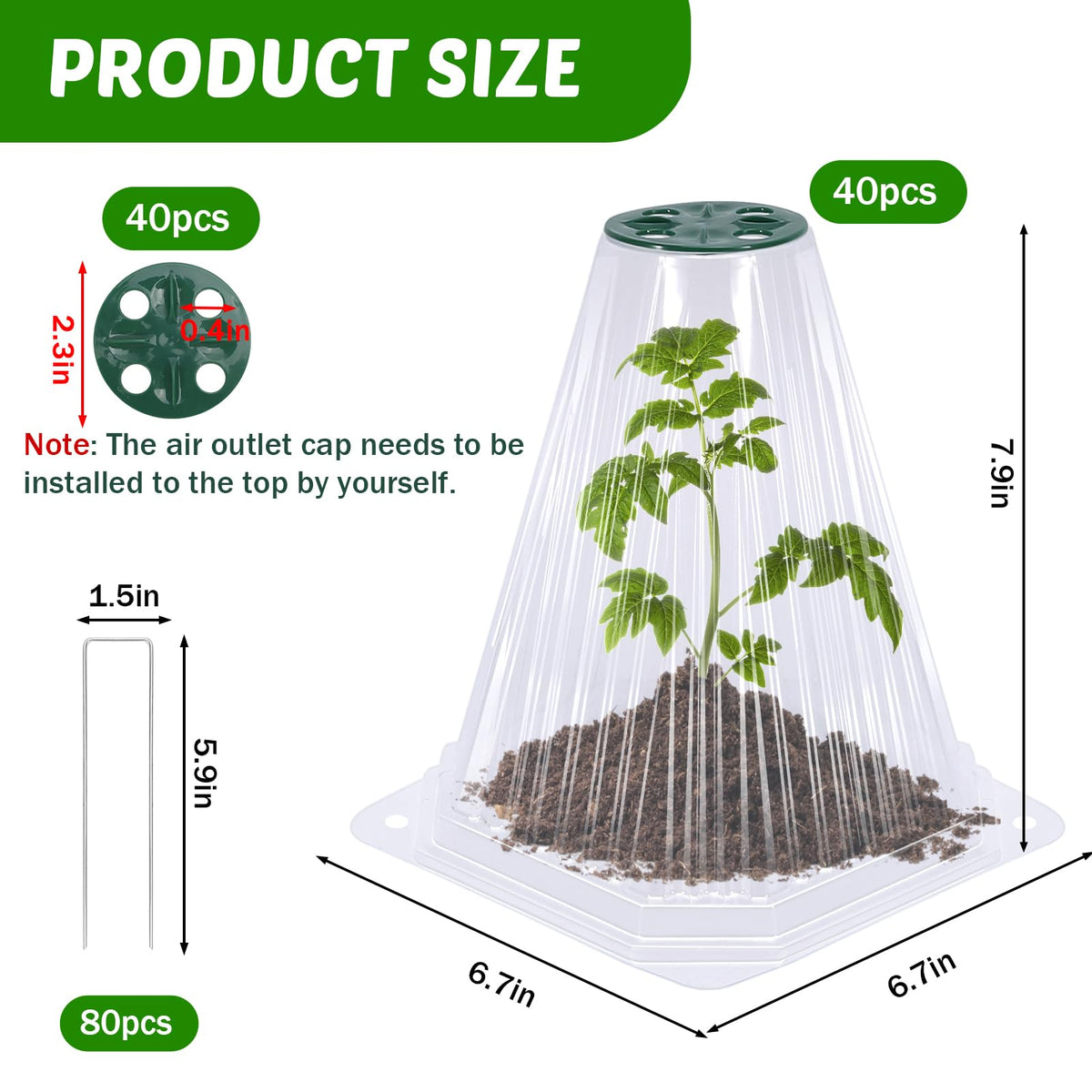 VICAMB 80 ground stakes secure cloches firmly in the soil.