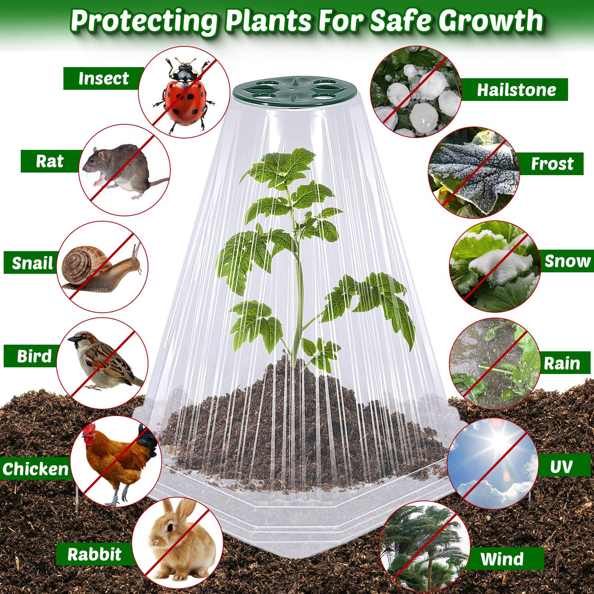 VICAMB easy no-tools installation saves setup time in home gardens.