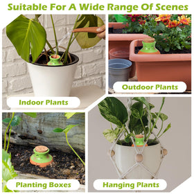 VICAMB gift-ready clay watering globes ideal for busy gardeners