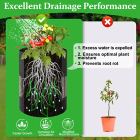 VICAMB multi-use grow bags suited for potatoes, tomatoes and more