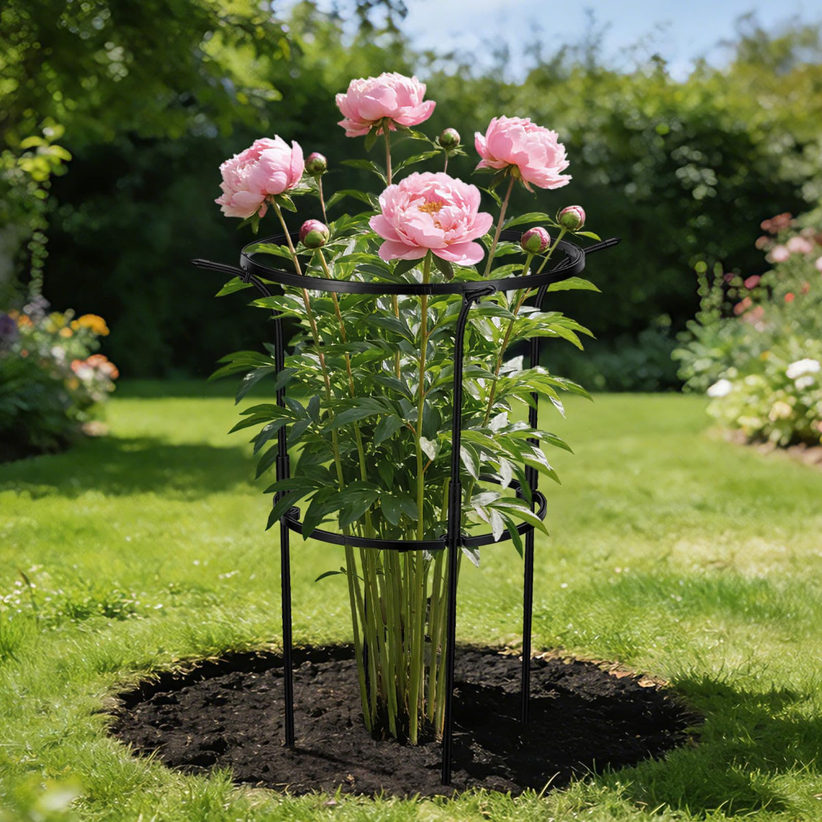 VICAMB open ring design enables easy watering and pruning
