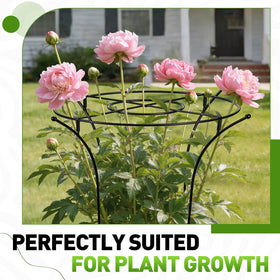vicamb peony cage 32-2-inches height maintains tall blooms