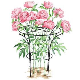 vicamb peony support cage shows wide ring guiding stems to keep blooms upright