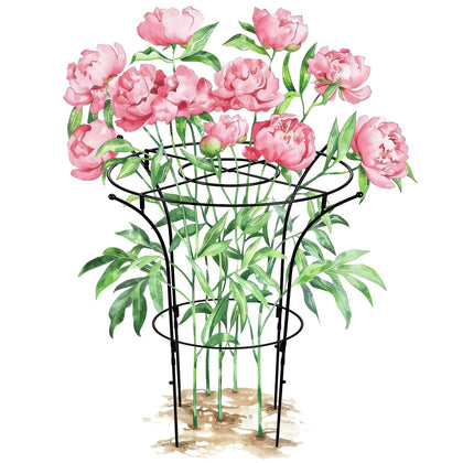 vicamb peony support cage shows wide ring guiding stems to keep blooms upright