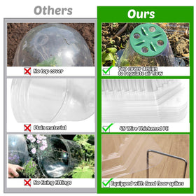 VICAMB transparent dome design helps monitor growth without removing cover.