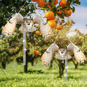 Vicsiyi two-pack owl decor provides humane bird deterrence for outdoor spaces.