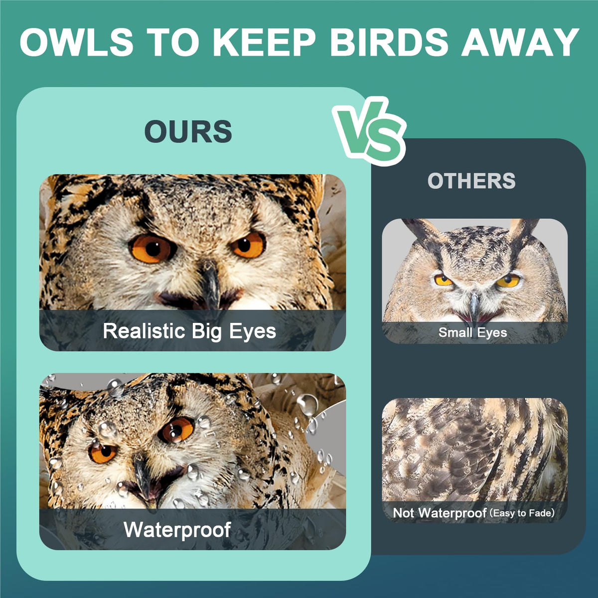 Vicsiyi patio owl deterrent guards windows and walls against birds.