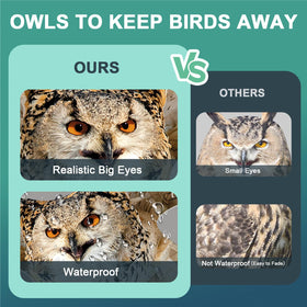 Vicsiyi patio owl deterrent guards windows and walls against birds.