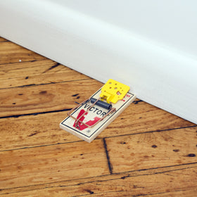 Victor Easy Set Mouse Trap 72-trap pack highlights bulk value