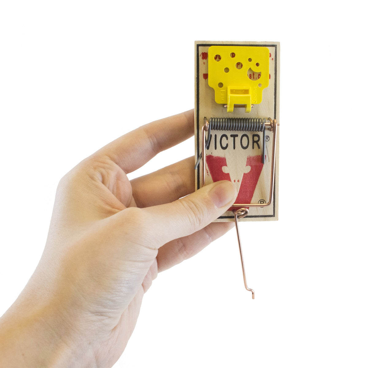 Victor Easy Set Mouse Trap along baseboard shows broad coverage