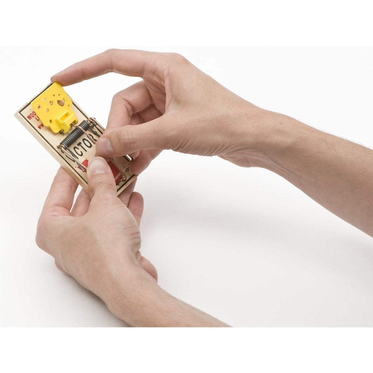 Victor Easy Set Mouse Trap shows reusable or disposable options