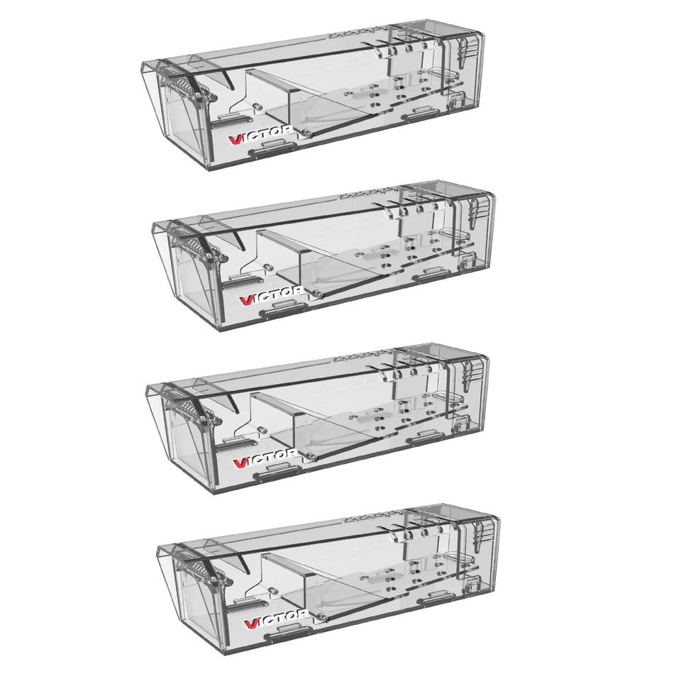 Victor Live Catch trap front view shows clear design for monitoring