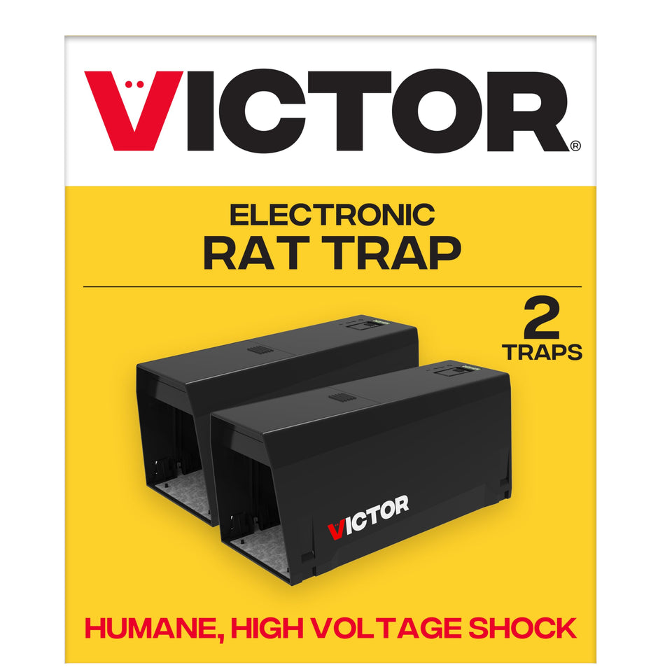 Victor M241BSR-2 trap setup along a wall showing discreet placement.
