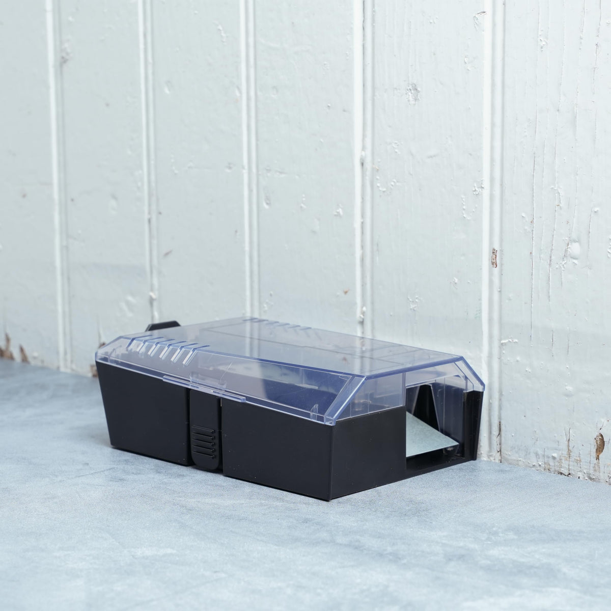 Victor M335 holds up to four mice per setting