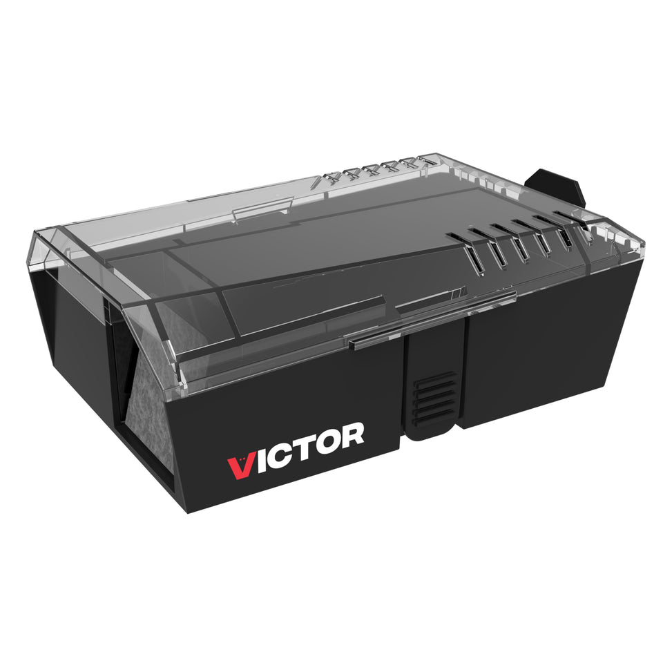 Victor M335 trap front view shows humane multi-catch design