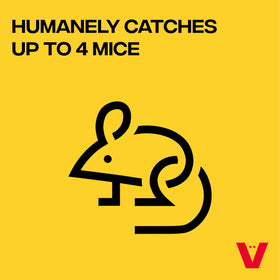Victor M335 see-saw entry captures mice without harm