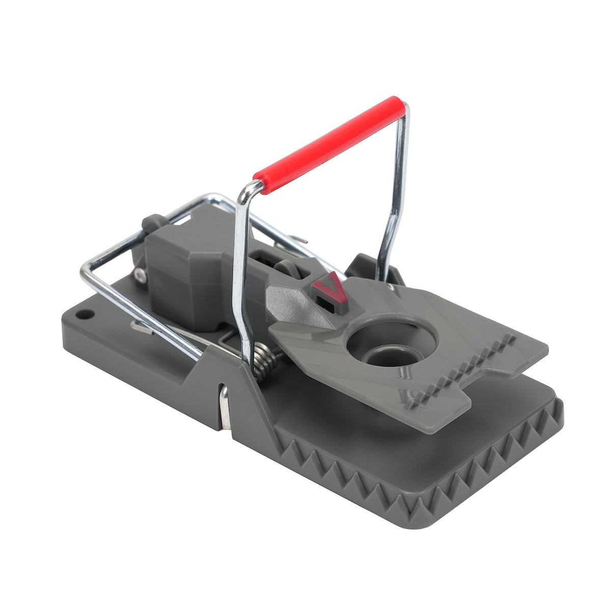 Victor Power Kill trap reusable or disposable for flexible cleanup.