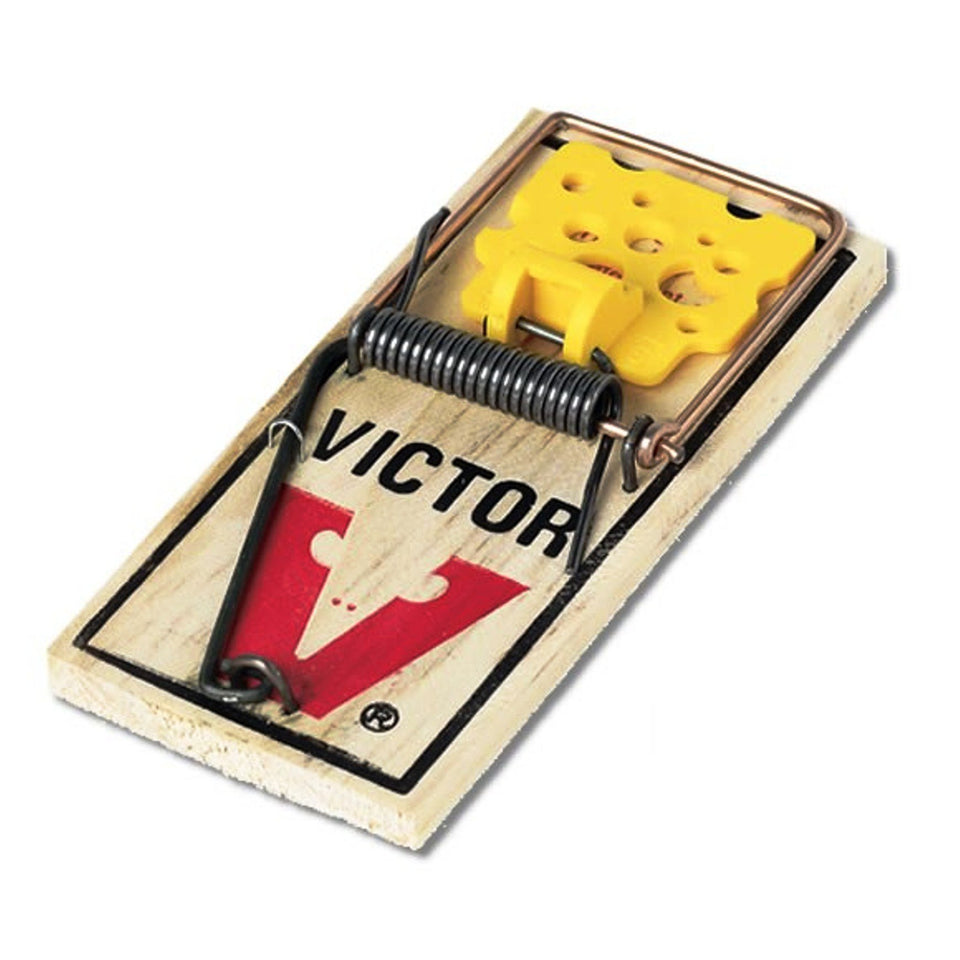 Victor Rat Traps M326 six-trap pack ready for wall-based rodent control in homes