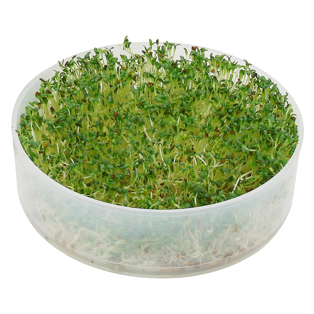 Victorio Kitchen Products Kitchen Crop sprouter expandable-option supports eight-tray growth