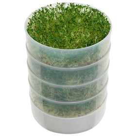 Victorio Kitchen Products Kitchen Crop sprouter water-collection tray enables easy irrigation
