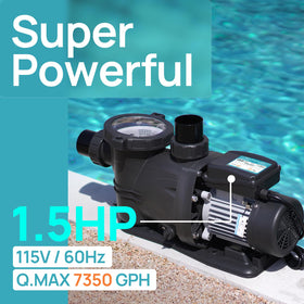 Adapters assembly for Vidapool pump showing versatile inlet-outlet options.