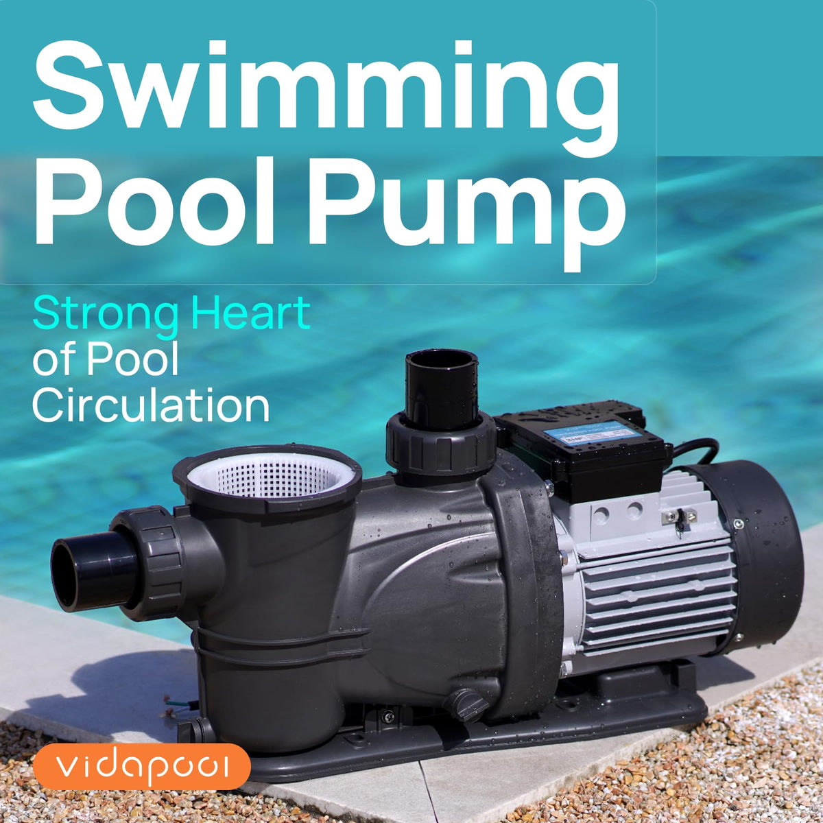 Vidapool pool pump adapters 1.5 and 2 inch for versatile setups.