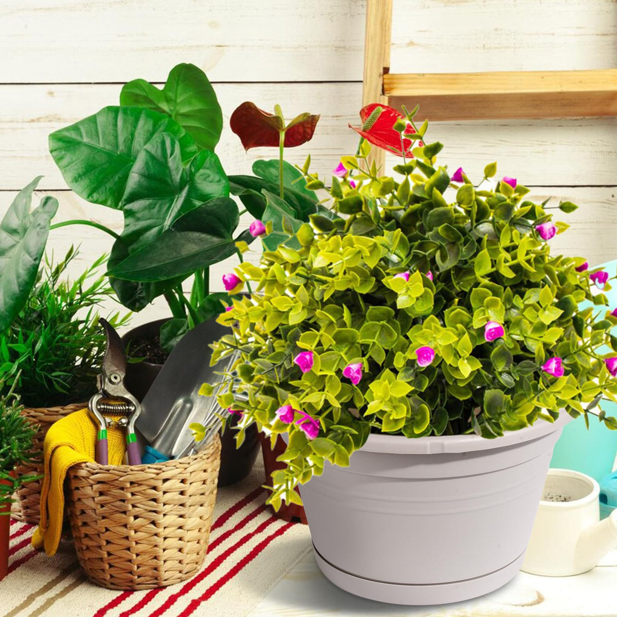VIDELLY space-saving vertical display ideal for ivy, herbs, and succulents.