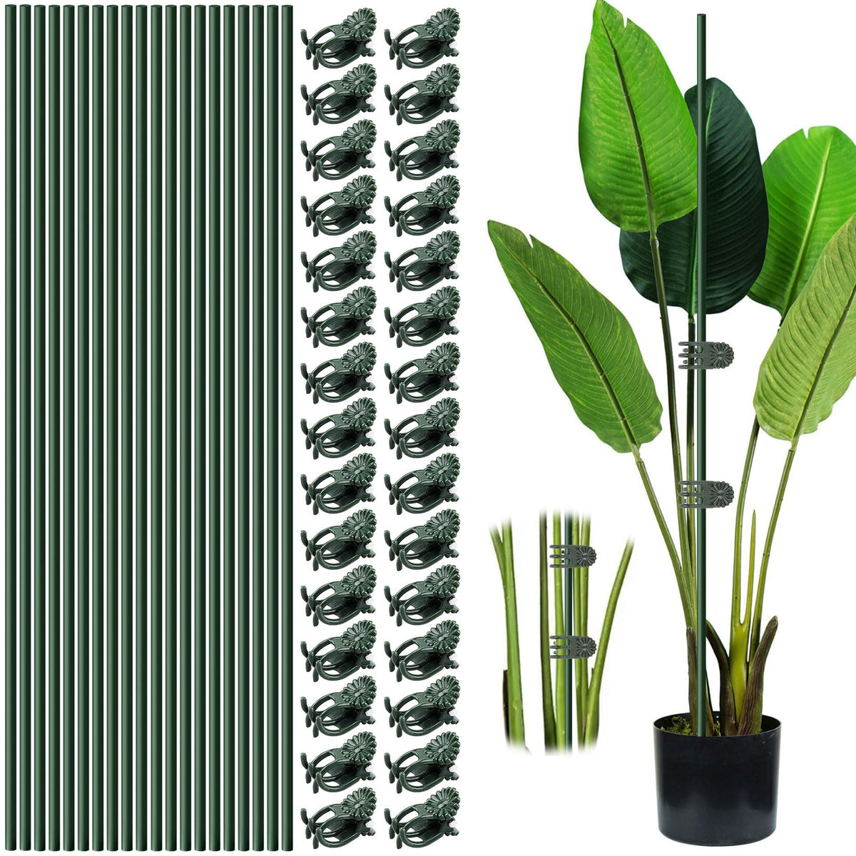 Vidroxin 40 cm bendable plant stake in use supporting tall stems