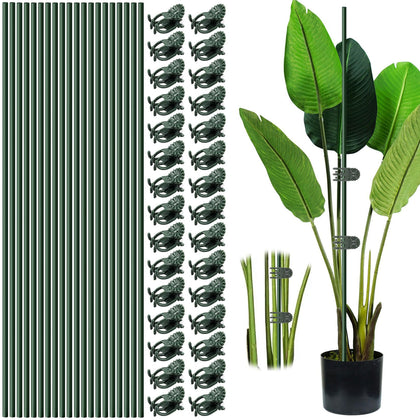 Vidroxin 40 cm bendable plant stake in use supporting tall stems