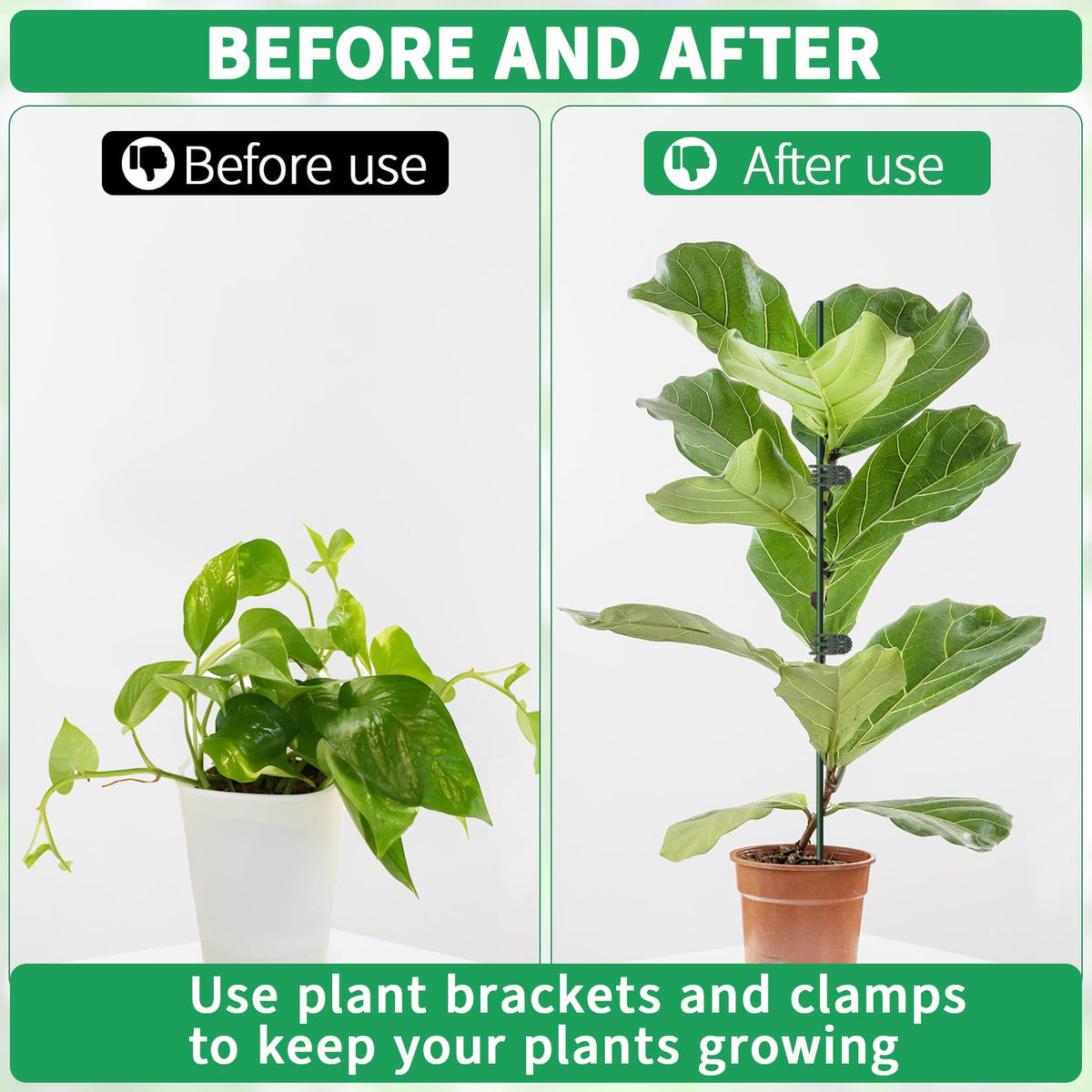 Vidroxin stake diameter 3 mm shown with gardening setup