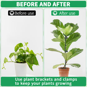 Vidroxin stake diameter 3 mm shown with gardening setup