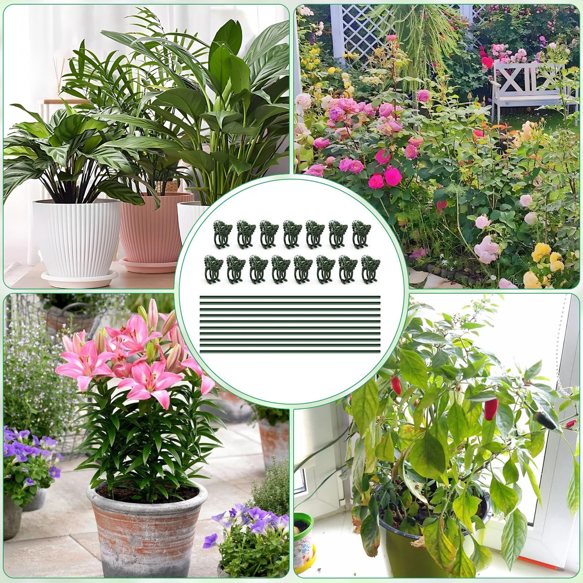 Vidroxin 40 cm stake height supports indoor and outdoor plants
