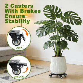 Vigorwise lockable casters keep plants secure when you stop to position.