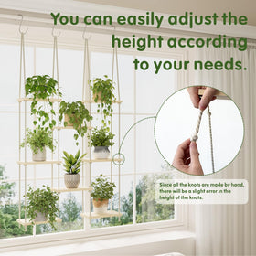 Vihawke floating plant shelf adds elegant indoor display.