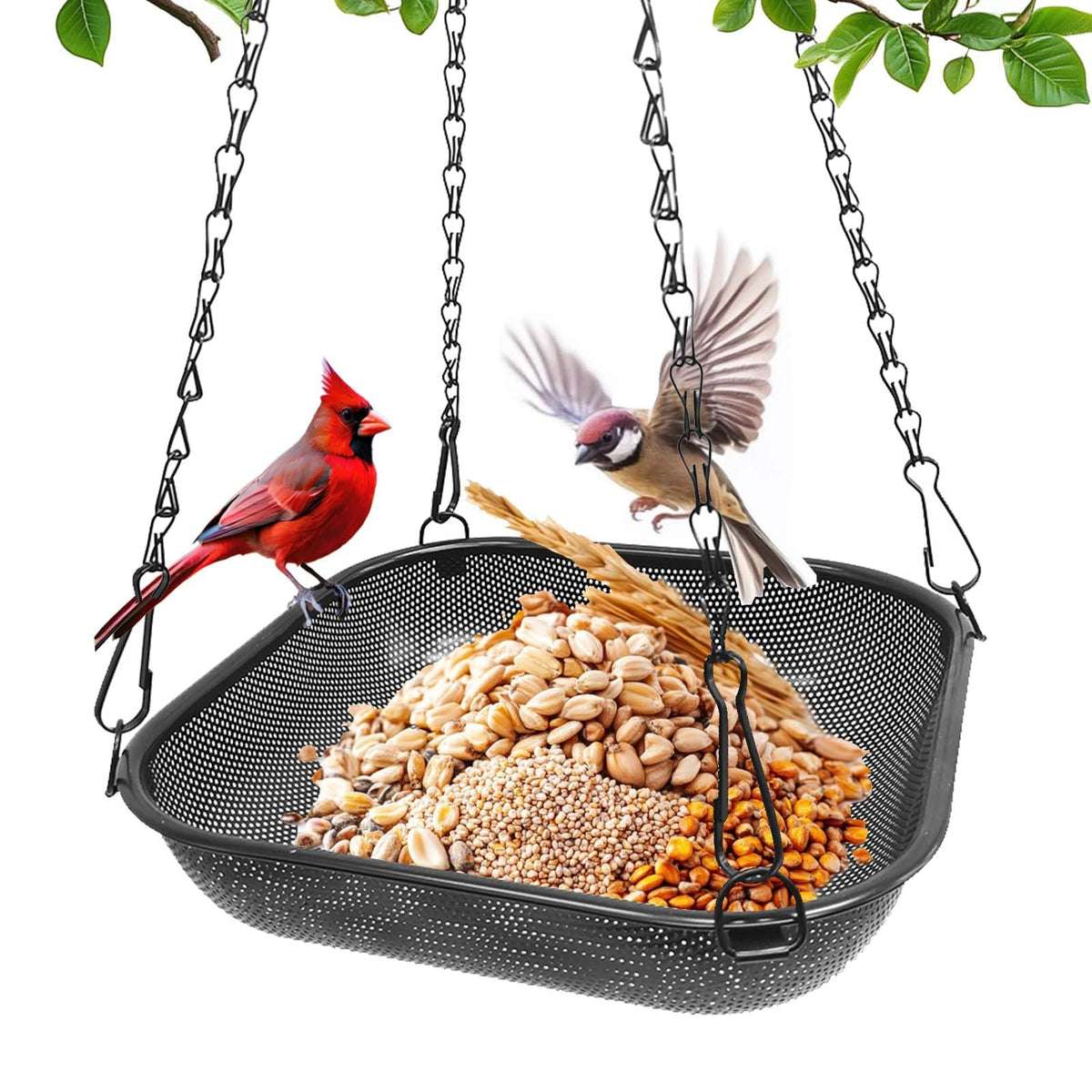 VIHSIPR hanging bird feeder with 11-inch square mesh attracts diverse wild birds