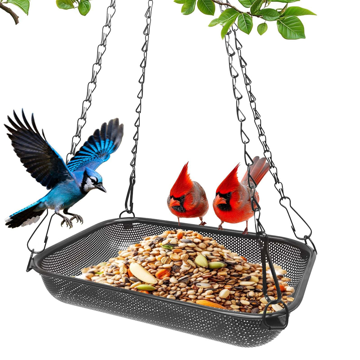 VIHSIPR hanging bird feeder outdoors promotes easy birdwatching with durable, weather-ready construction.