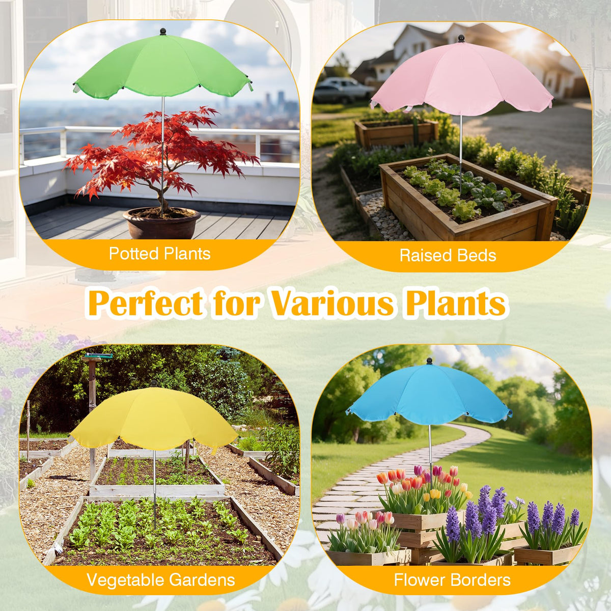 Vikua plant umbrella four pack adds color and broad coverage for beds
