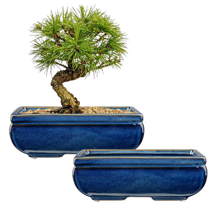 Villa Como blue glazed ceramic planter close-up, durable and versatile.