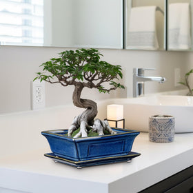 Villa Como Bonsai Pots securely packaged to prevent breakage during shipping