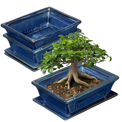Villa Como Bonsai Pots set of 2, side view showing sturdy ceramic construction and blue glaze