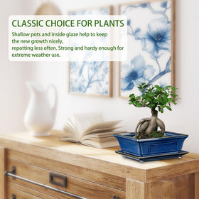 Villa Como Bonsai Pots with saucer for mess-free indoor use