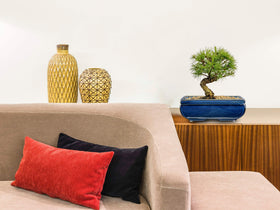 Villa Como secure packaging protects pots during transit.