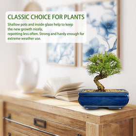 Villa Como versatile decor for indoor and outdoor spaces.