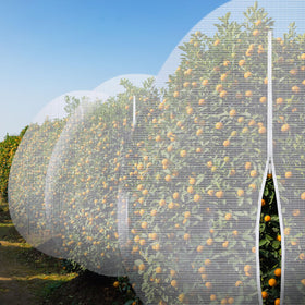Vincreem animal-protection netting guards crops from squirrels, birds, and deer.