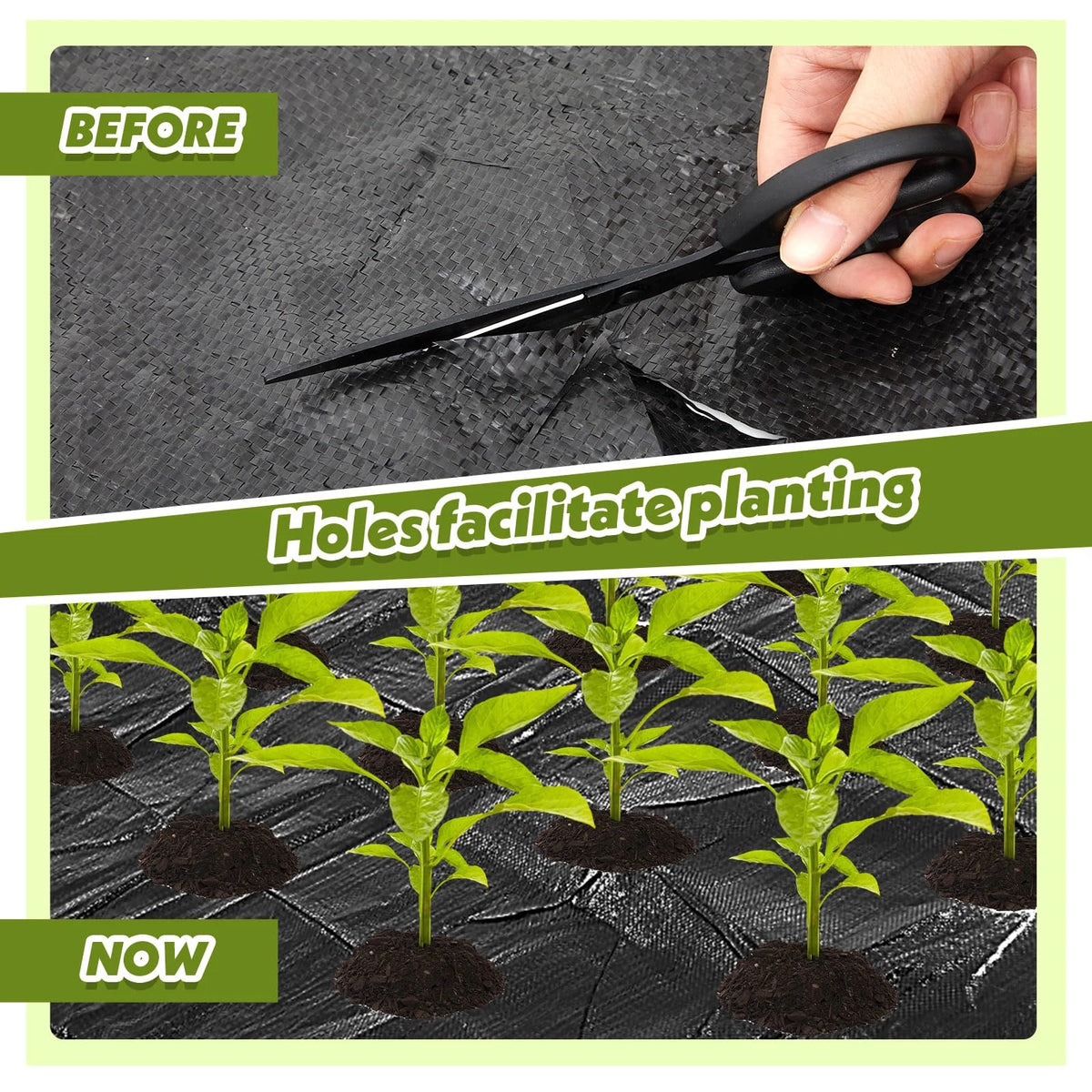 Vincreem breathable, water-permeable fabric aids soil health and drainage.