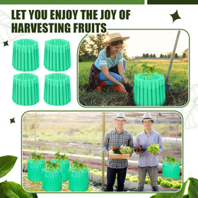 Vincreem durable plastic plant protectors for reliable garden protection