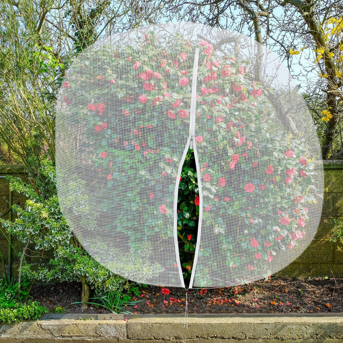 Vincreem easy-harvest access promotes gentle checking without removing netting.