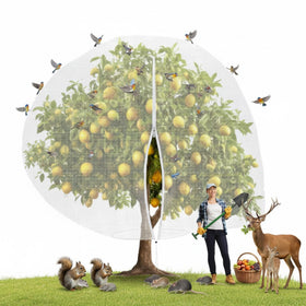 Vincreem 10x14 ft netting covers an entire fruit plant for full protection.