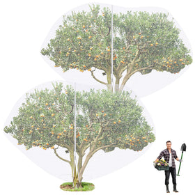 Vincreem fruit tree netting 15x15 cover protects fruit from pests while allowing airflow.