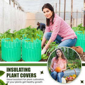Vincreem garden covers protecting peppers and cucumbers for early growth